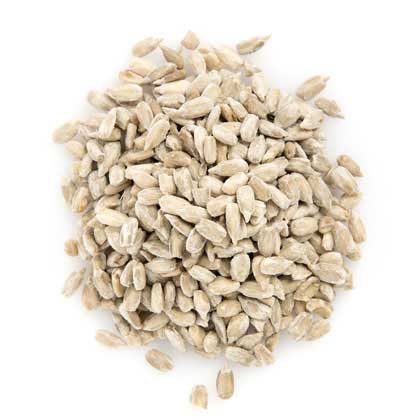 teff seed gluten free food affordable wholefoods teff seed gluten free food affordable wholefoods