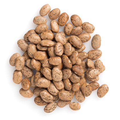 Pinto Beans