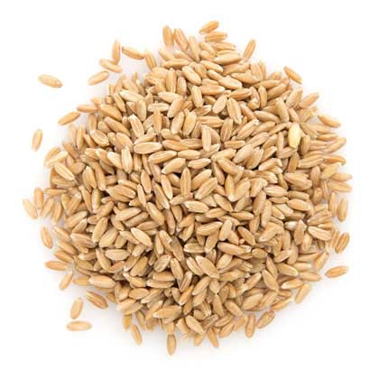 organic spelt grain affordable wholefoods