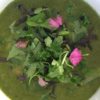 Nourishing Green Soup