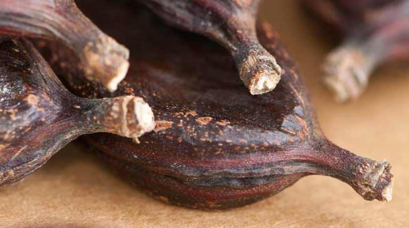 Carob Chocolate