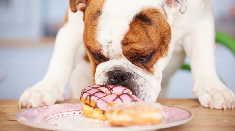 Tips for avoiding the holiday bulge