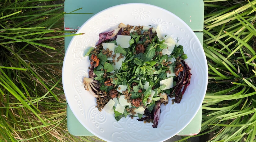 French Puy Lentil & Radicchio Salad