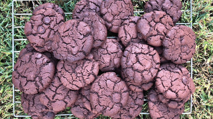 double choc gluten free cookies